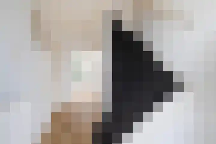 Tjalling H. Haismastraat 52 Burgum thumbnail 7