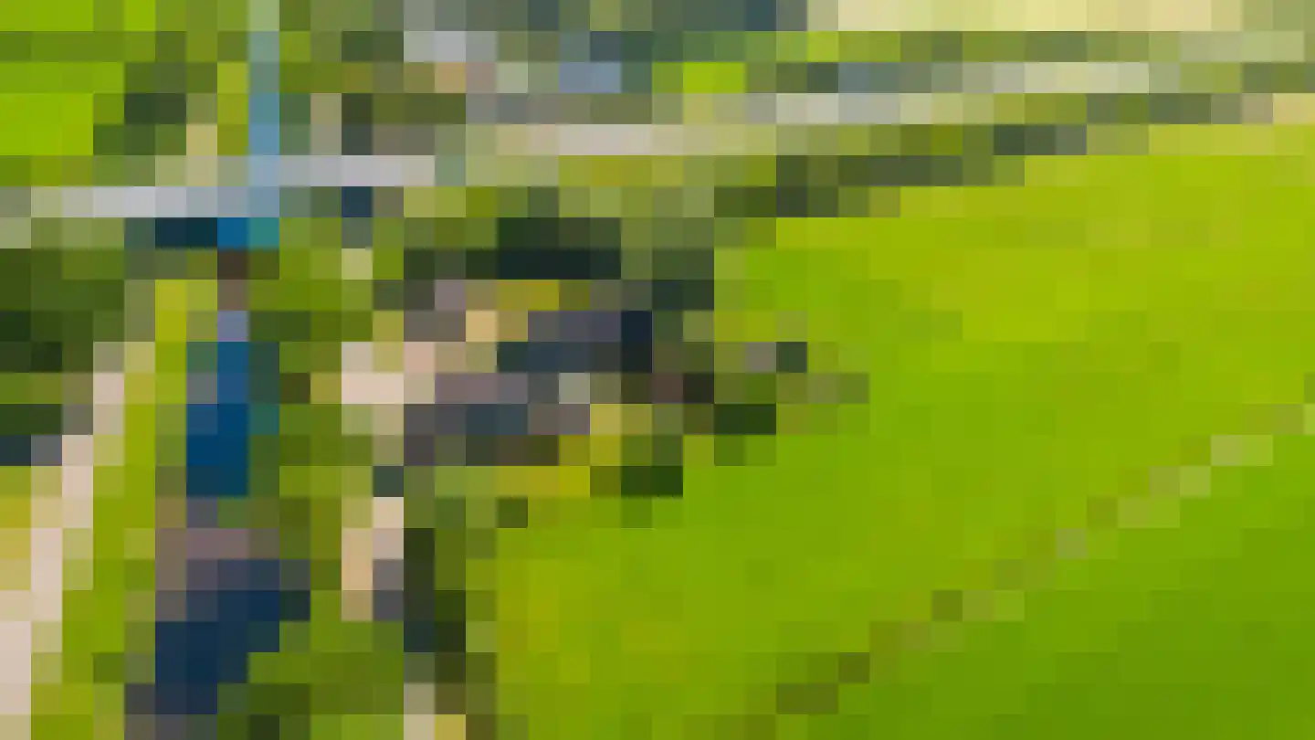 Tjalling Harkeswei 100 Wijnjewoude thumbnail 10