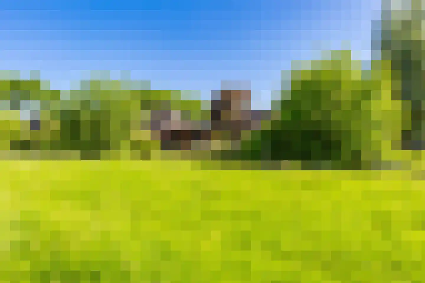 Tjalling Harkeswei 100 Wijnjewoude thumbnail 16