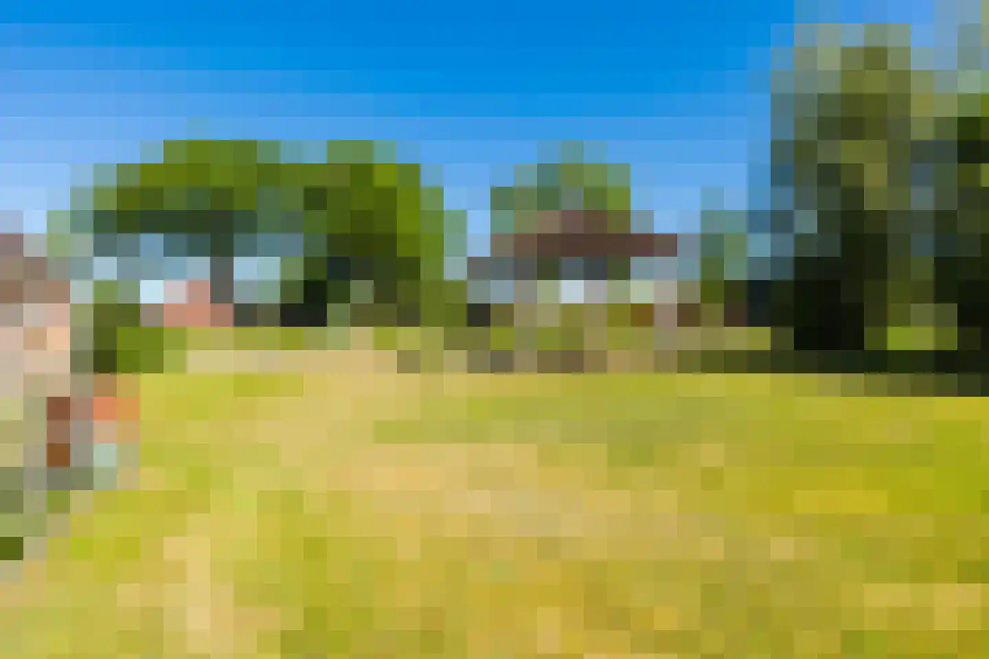 Tjalling Harkeswei 100 Wijnjewoude thumbnail 17