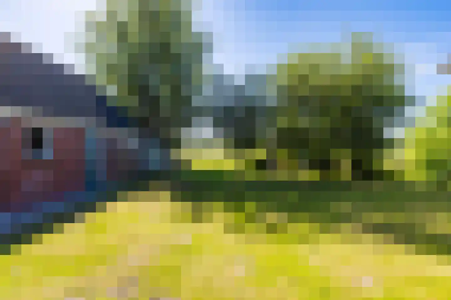 Tjalling Harkeswei 100 Wijnjewoude thumbnail 23