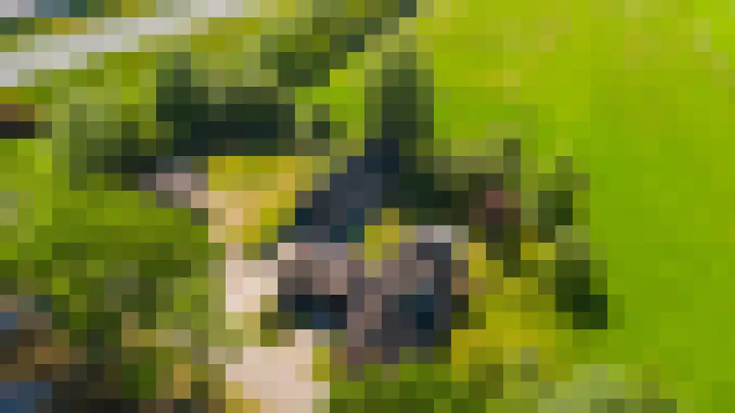 Tjalling Harkeswei 100 Wijnjewoude thumbnail 26