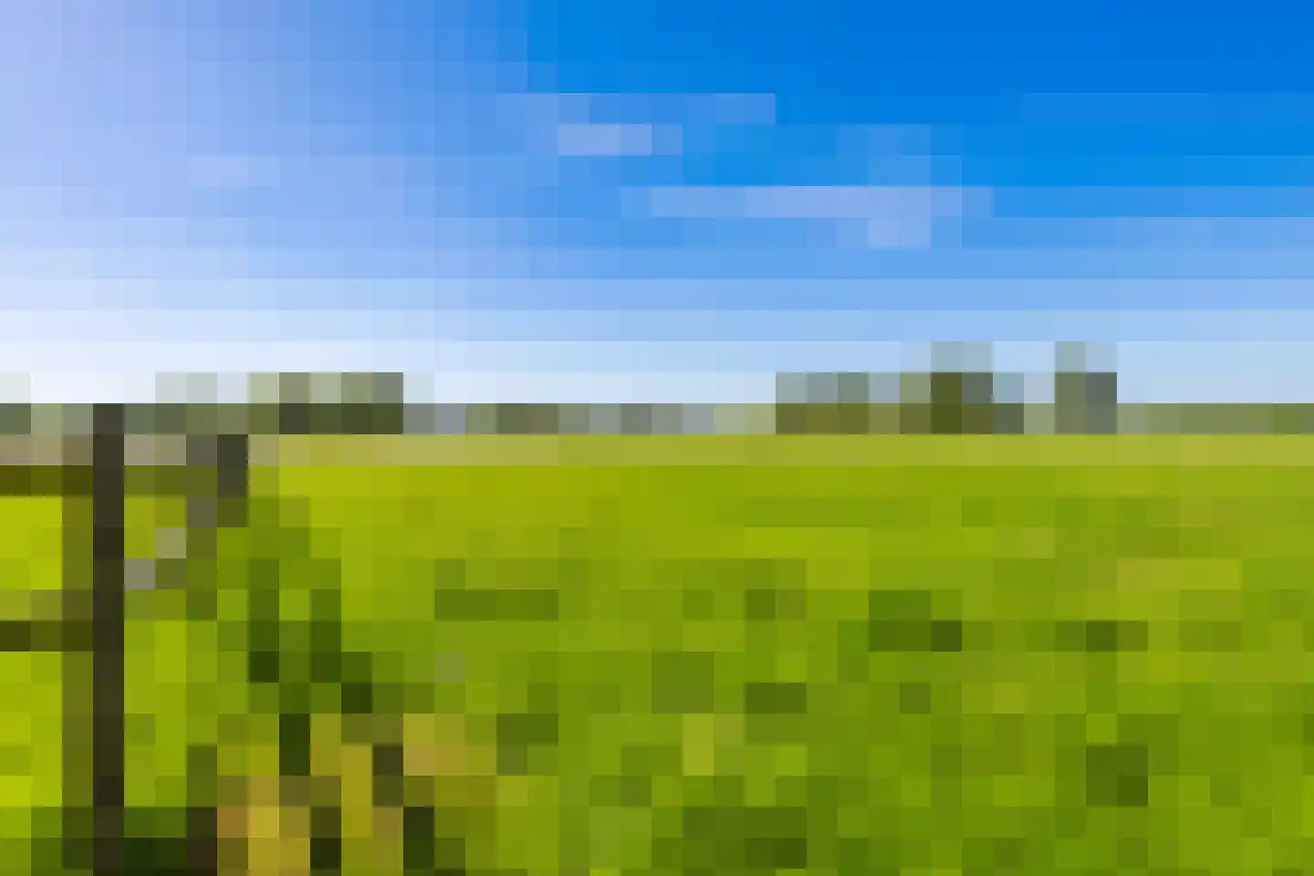 Tjalling Harkeswei 100 Wijnjewoude thumbnail 28