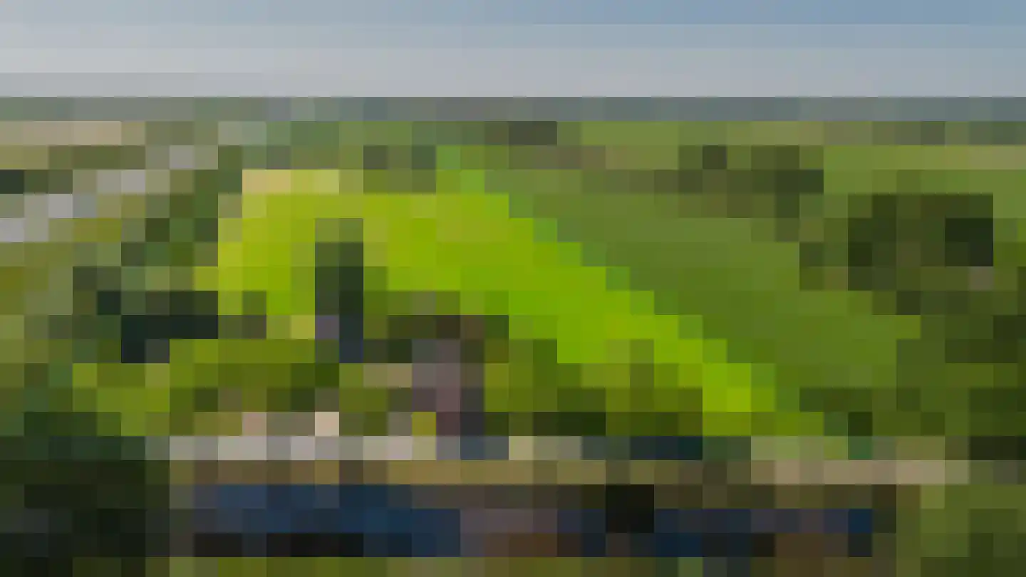 Tjalling Harkeswei 100 Wijnjewoude thumbnail 29