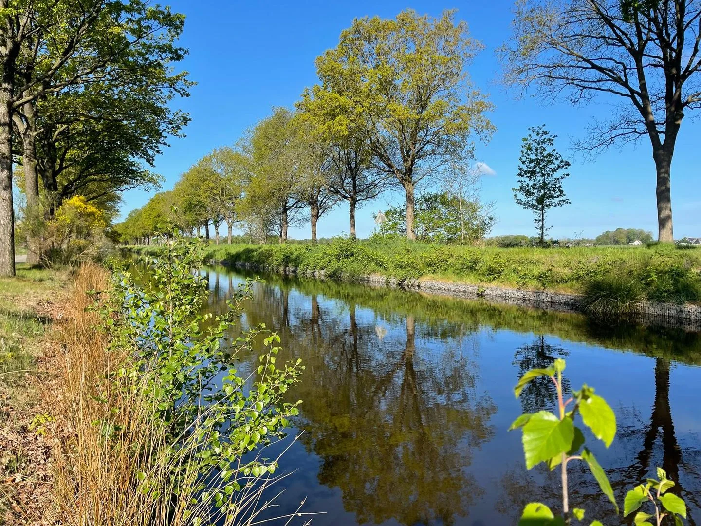 Tjalling Harkeswei 106 Wijnjewoude thumbnail 14
