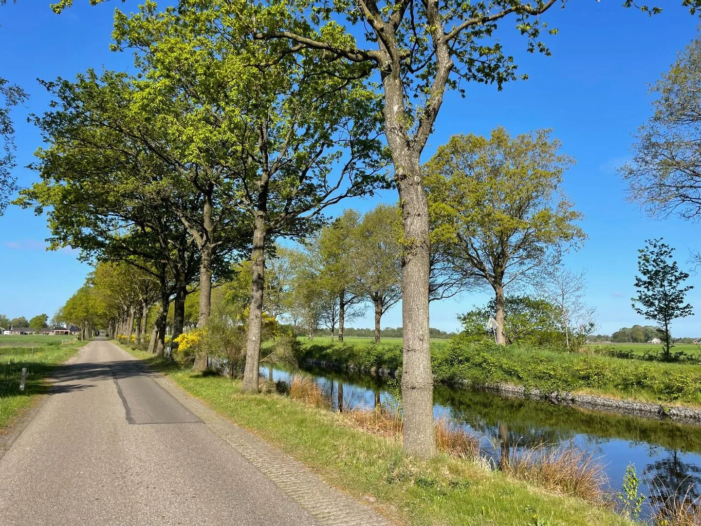 Tjalling Harkeswei 106 Wijnjewoude thumbnail 15