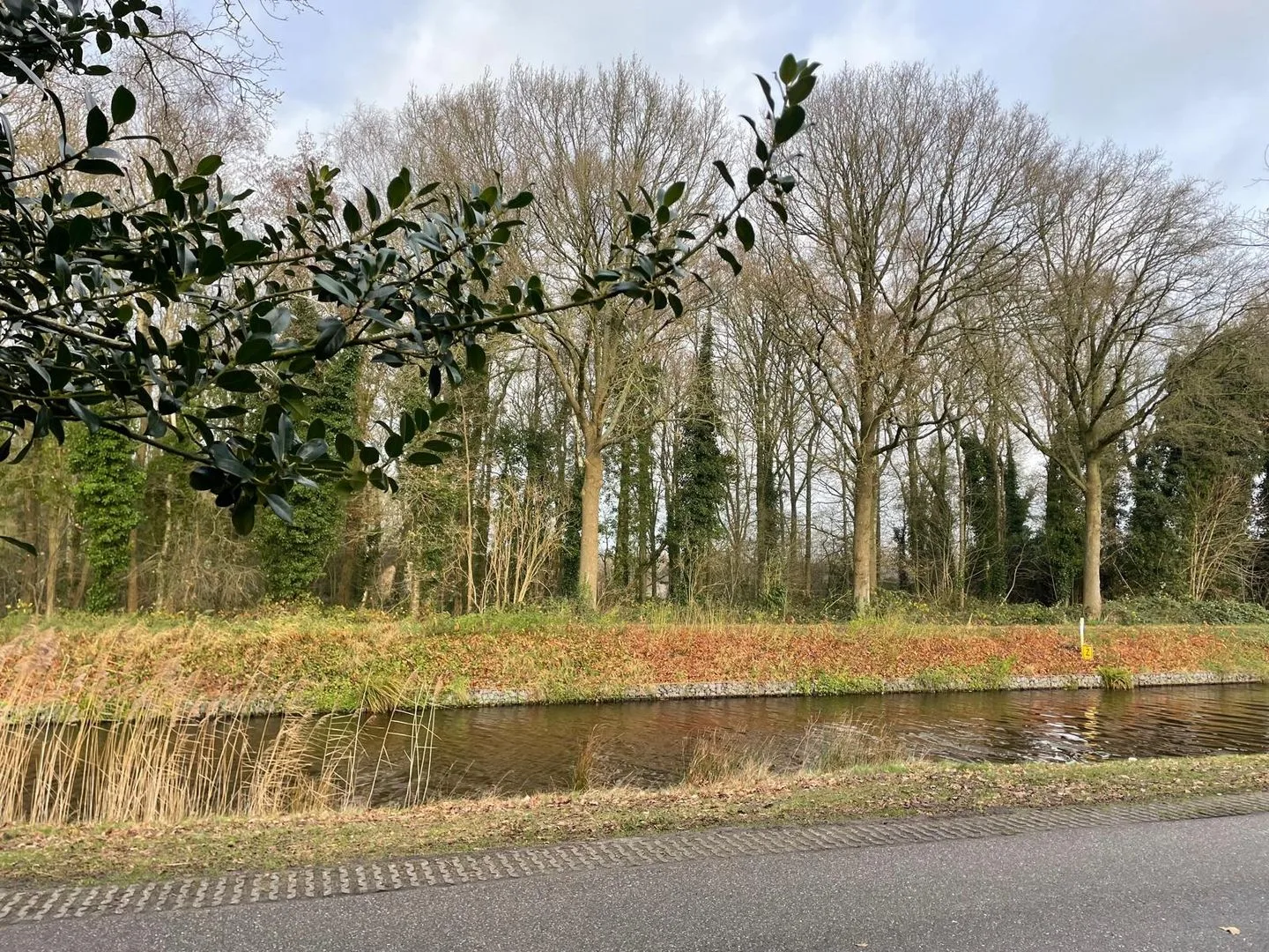 Tjalling Harkeswei 106 Wijnjewoude thumbnail 22