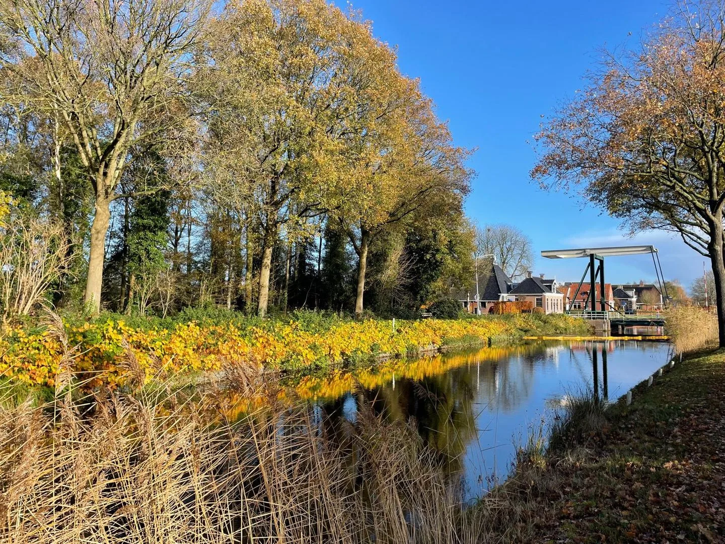 Tjalling Harkeswei 106 Wijnjewoude thumbnail 23