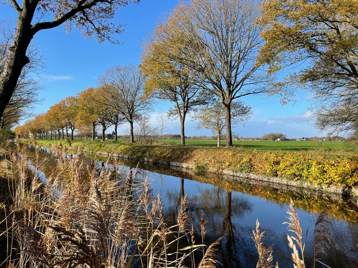 Tjalling Harkeswei 106 Wijnjewoude thumbnail 24