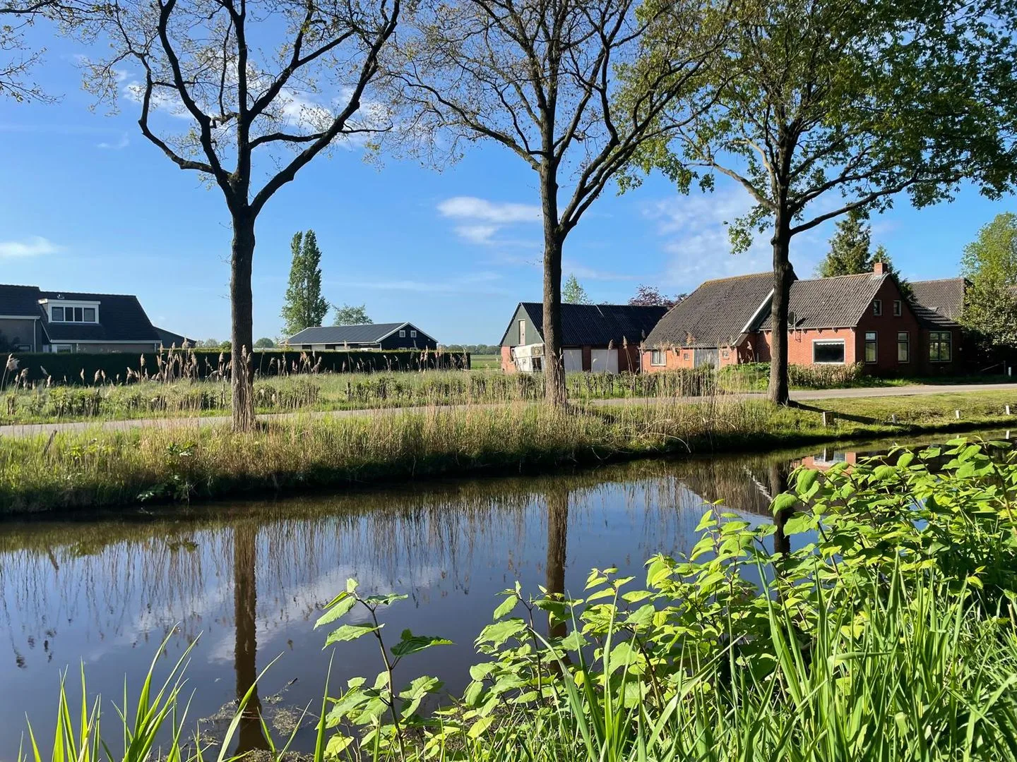 Tjalling Harkeswei 106 Wijnjewoude thumbnail 28