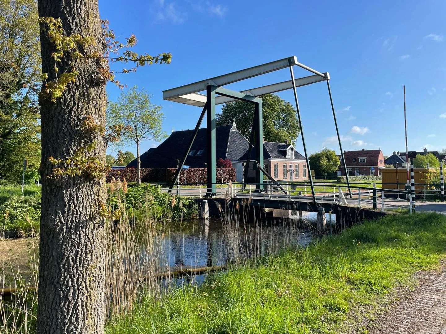 Tjalling Harkeswei 106 Wijnjewoude thumbnail 6
