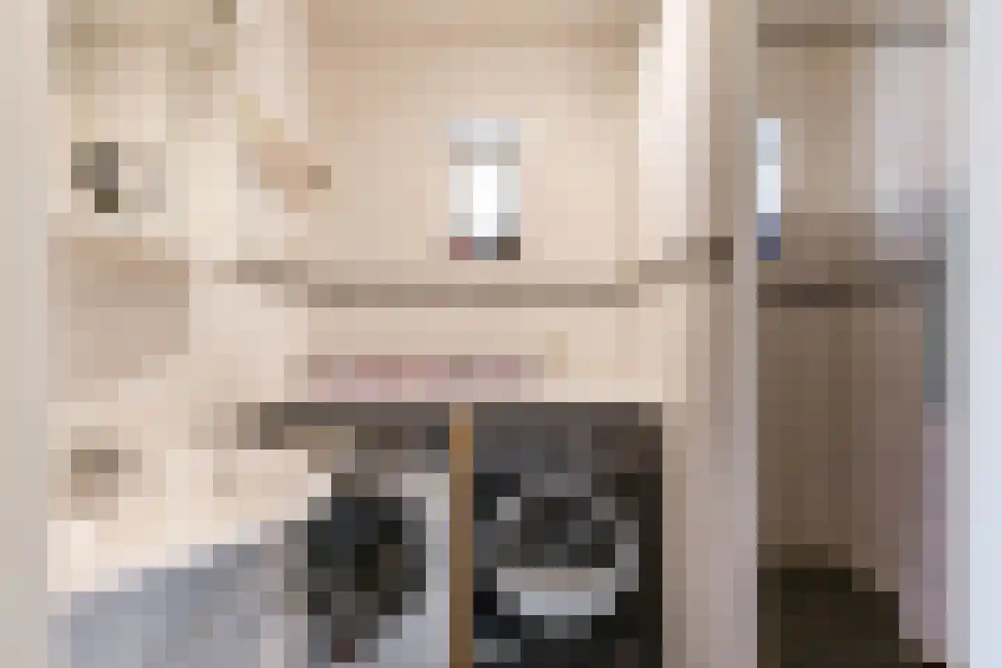 Tjalling Harkeswei 48 Hemrik thumbnail 16