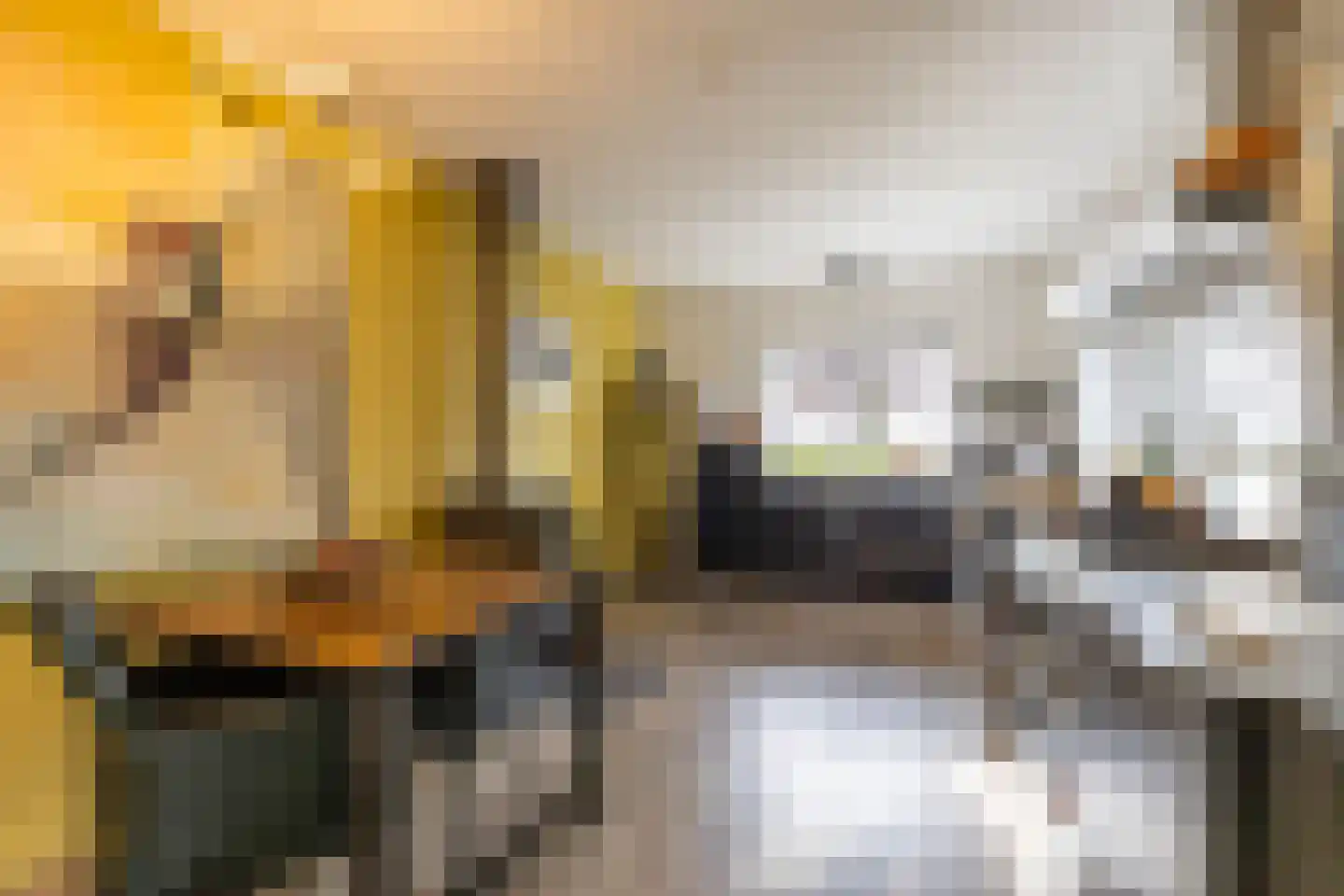 Tjalling Harkeswei 48 Hemrik thumbnail 20
