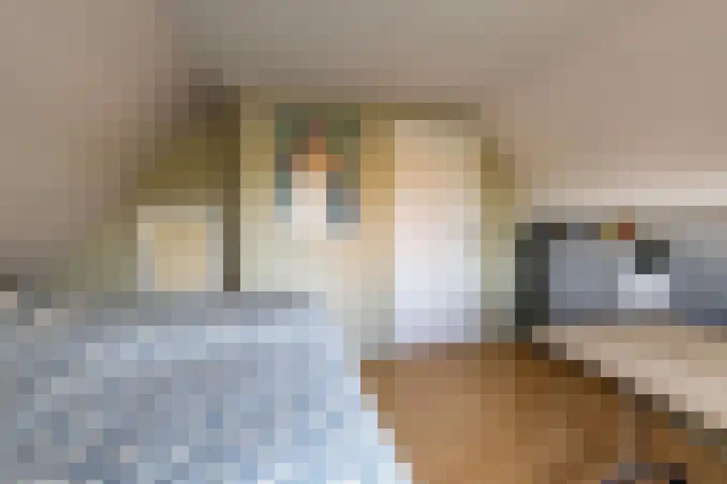 Tjalling Harkeswei 48 Hemrik thumbnail 33