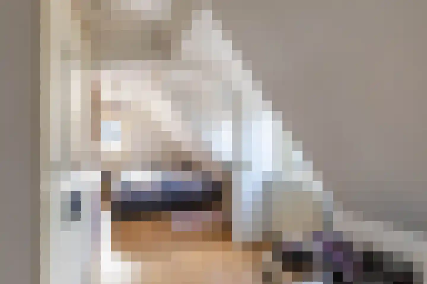 Tjalling Harkeswei 48 Hemrik thumbnail 34
