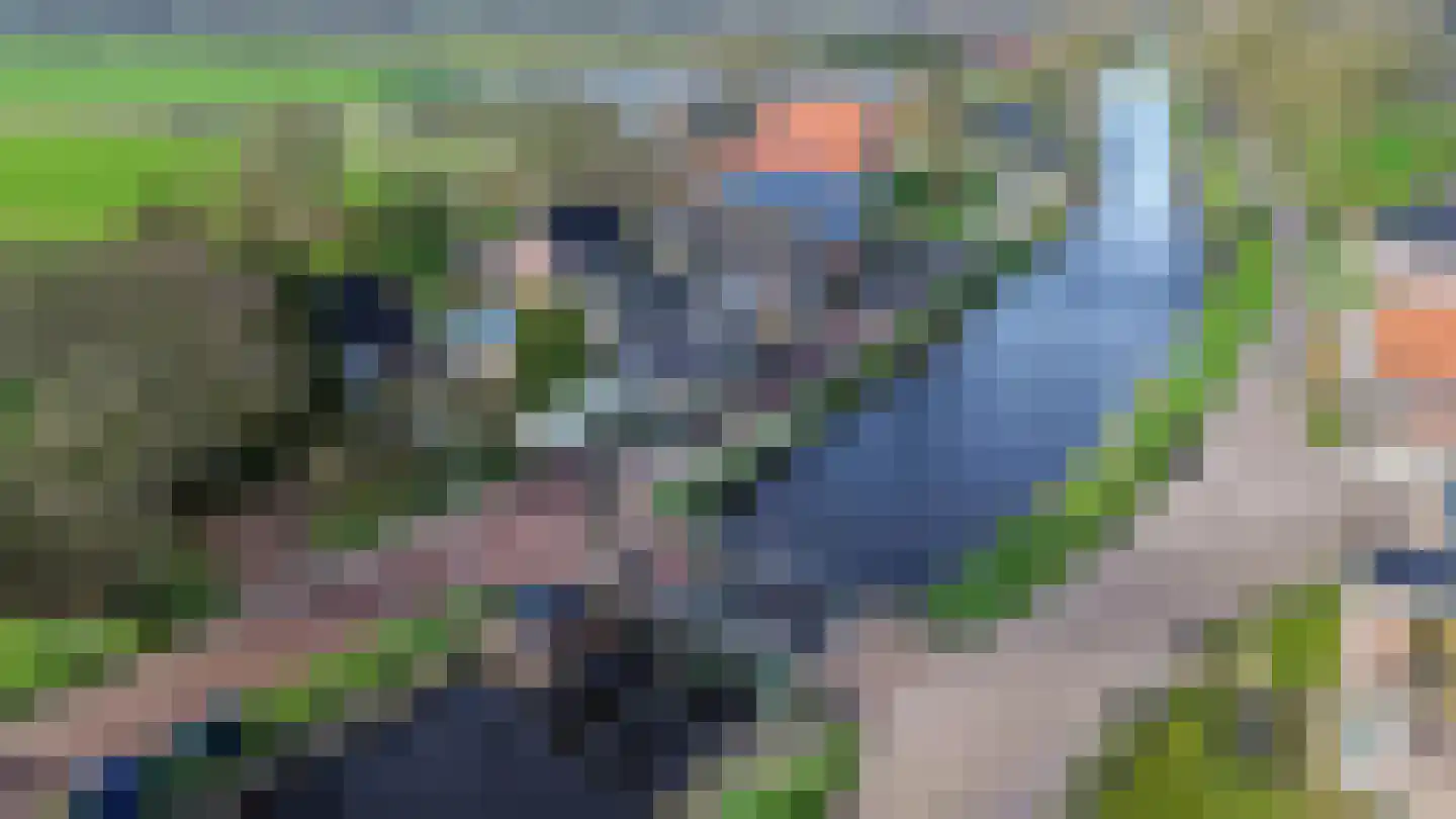 Tjalling Harkeswei 48 Hemrik thumbnail 41