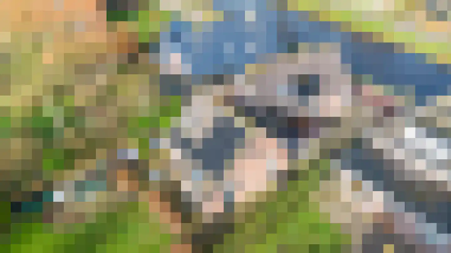 Tjalling Harkeswei 48 Hemrik thumbnail 42