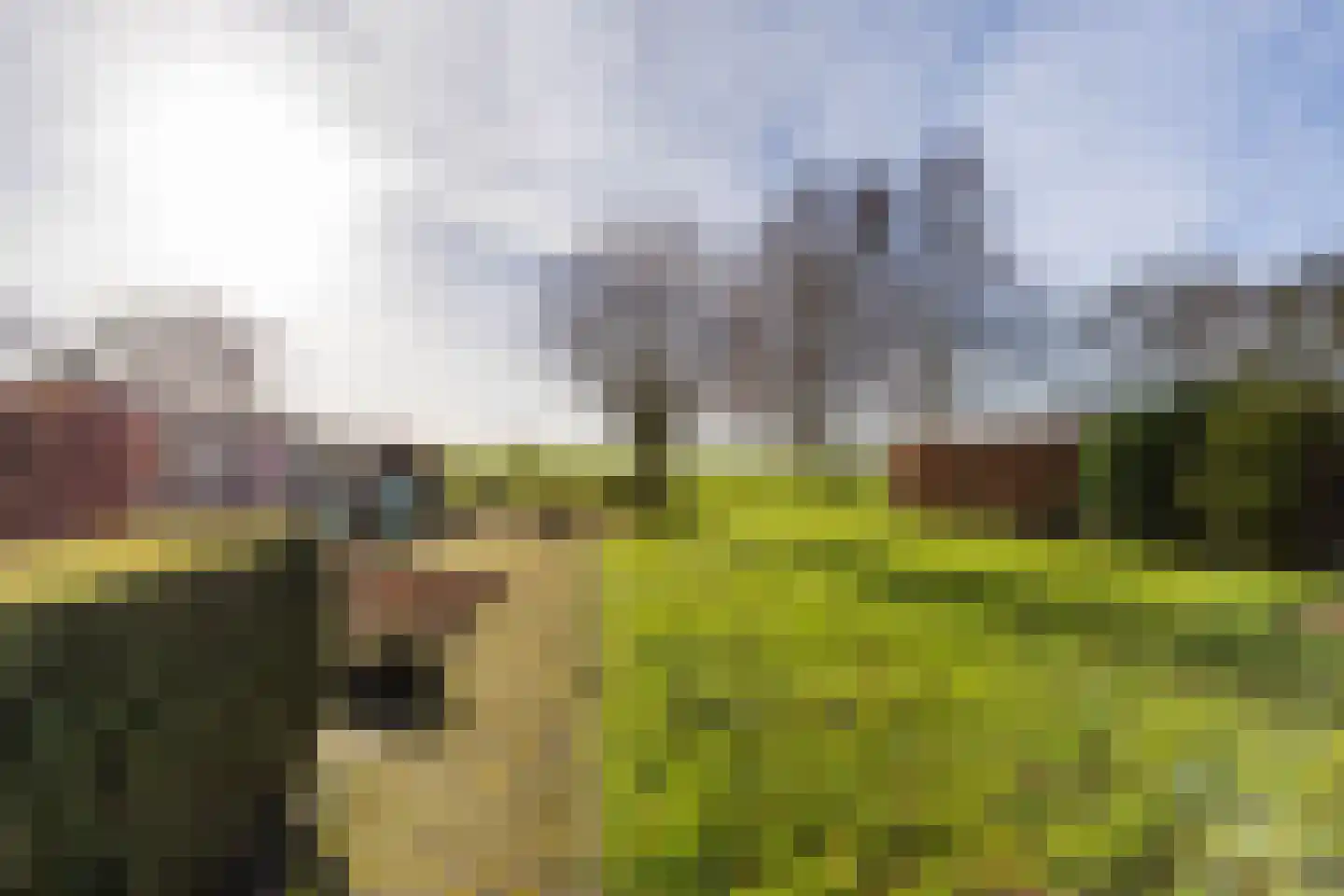 Tjalling Harkeswei 48 Hemrik thumbnail 49