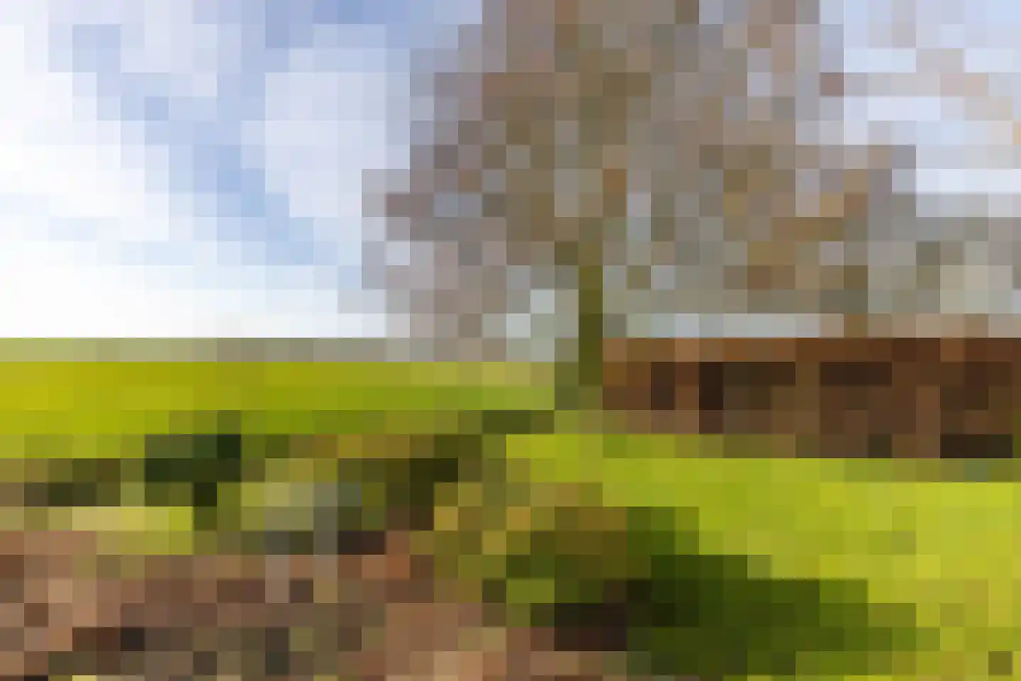 Tjalling Harkeswei 48 Hemrik thumbnail 51