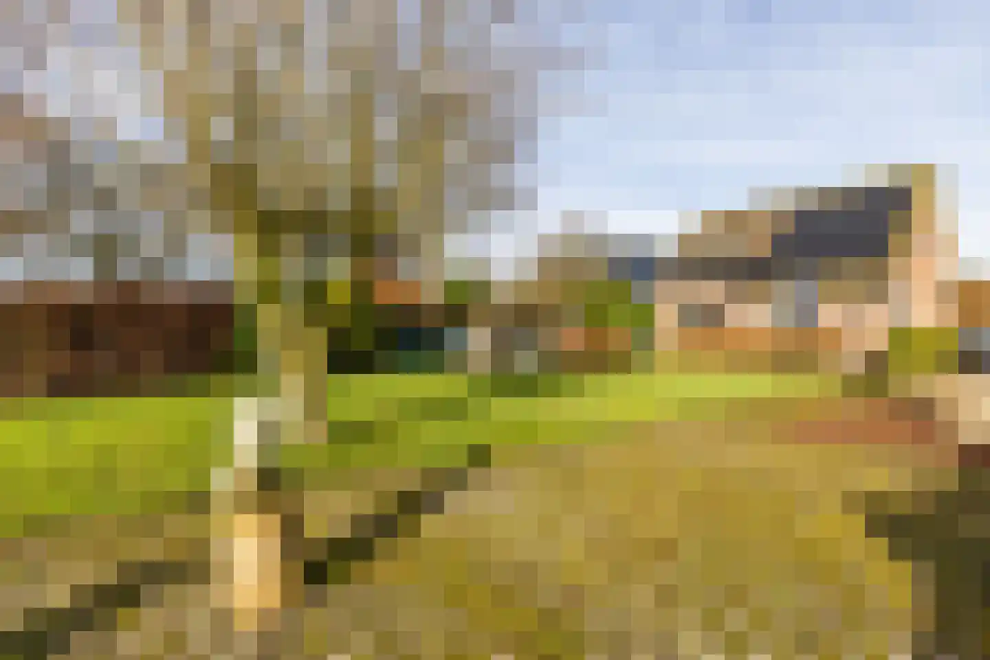 Tjalling Harkeswei 48 Hemrik thumbnail 52