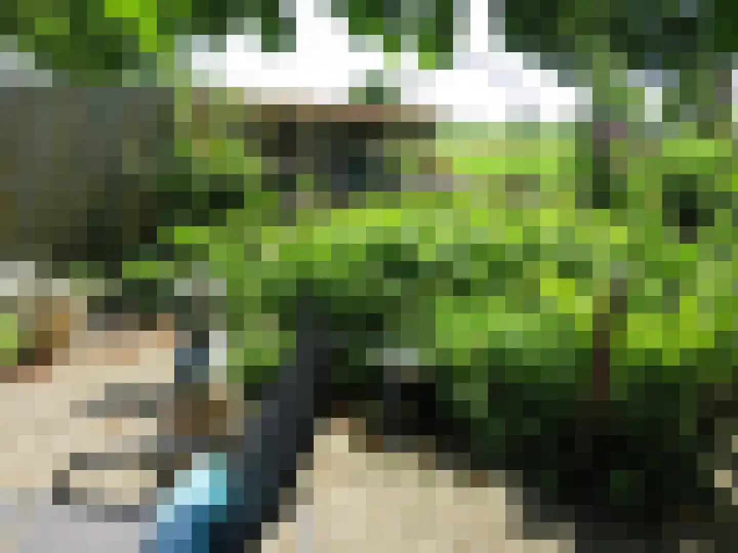 Tjalling Harkeswei 48 Hemrik thumbnail 53