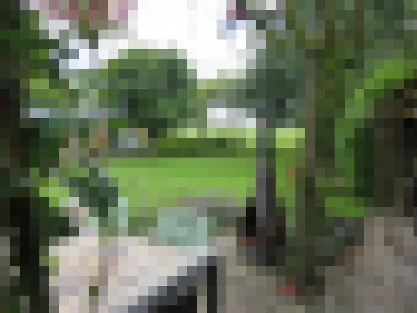 Tjalling Harkeswei 48 Hemrik thumbnail 58