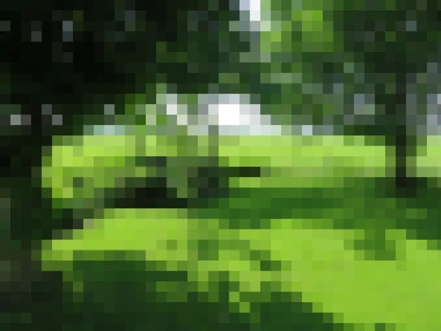 Tjalling Harkeswei 48 Hemrik thumbnail 59