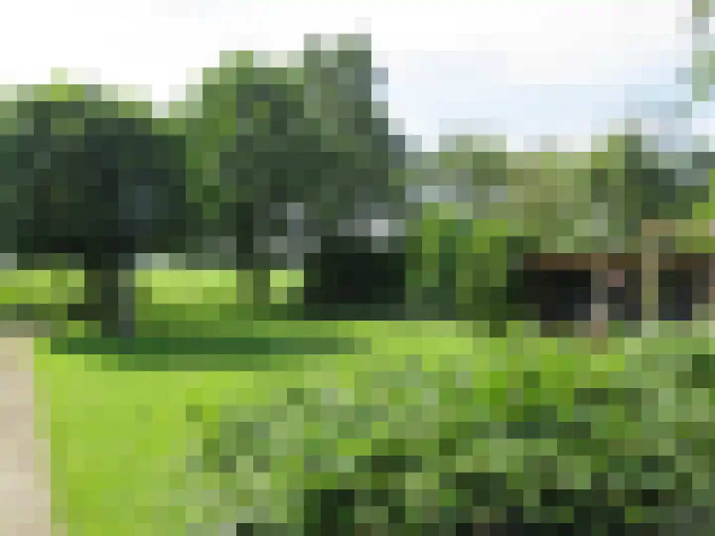Tjalling Harkeswei 48 Hemrik thumbnail 60