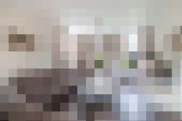 Tjalling Harkeswei 63 Hemrik thumbnail 11