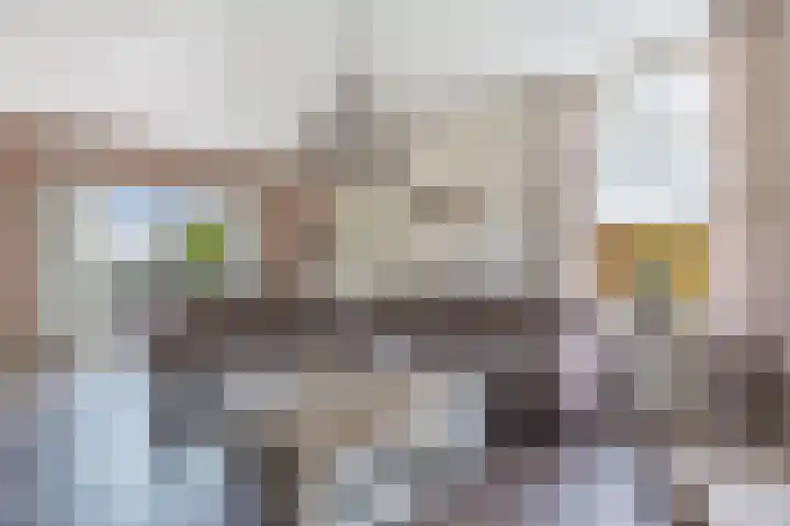 Tjalling Harkeswei 63 Hemrik thumbnail 13