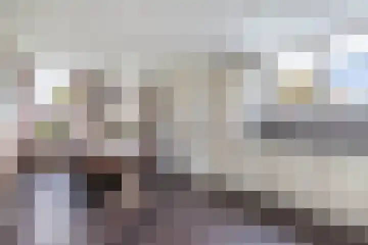 Tjalling Harkeswei 63 Hemrik thumbnail 15