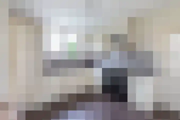 Tjalling Harkeswei 63 Hemrik thumbnail 17