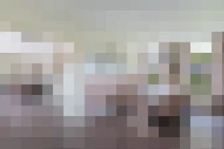 Tjalling Harkeswei 63 Hemrik thumbnail 21