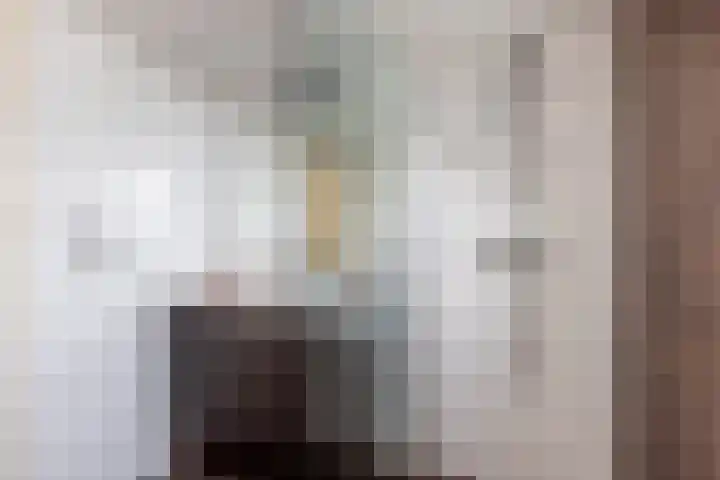 Tjalling Harkeswei 63 Hemrik thumbnail 24