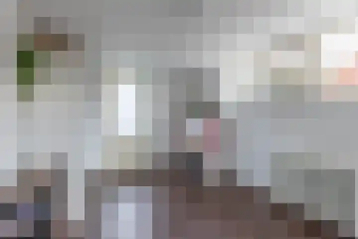 Tjalling Harkeswei 63 Hemrik thumbnail 26