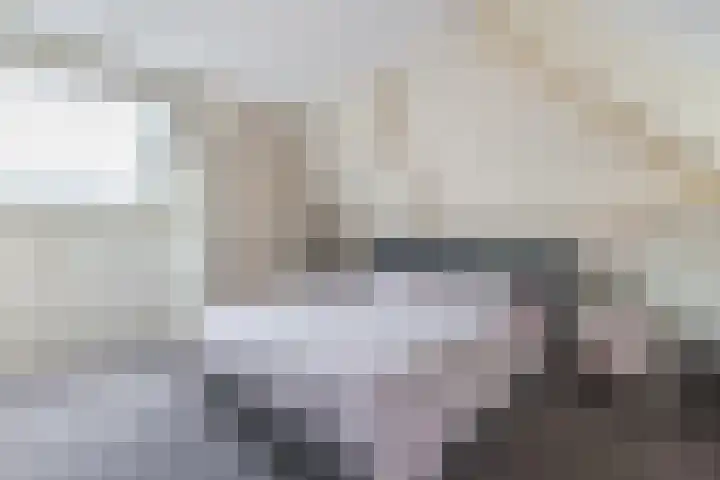 Tjalling Harkeswei 63 Hemrik thumbnail 29