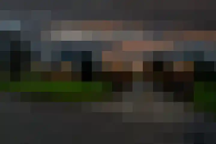Tjalling Harkeswei 63 Hemrik foto 3