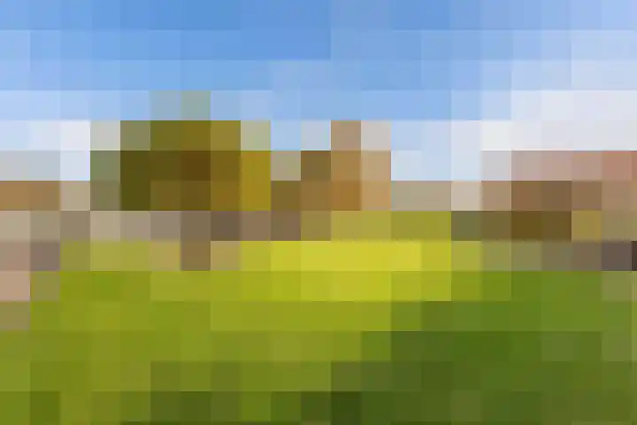 Tjalling Harkeswei 63 Hemrik thumbnail 37