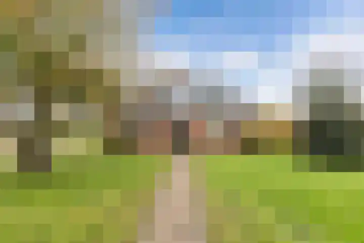 Tjalling Harkeswei 63 Hemrik thumbnail 4