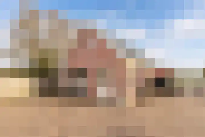 Tjalling Harkeswei 63 Hemrik thumbnail 40
