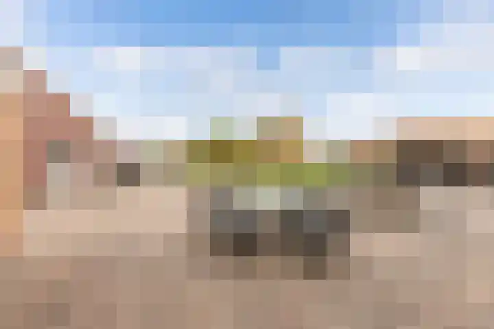 Tjalling Harkeswei 63 Hemrik thumbnail 42