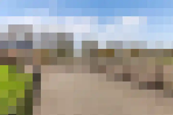 Tjalling Harkeswei 63 Hemrik thumbnail 46