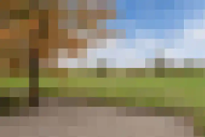 Tjalling Harkeswei 63 Hemrik thumbnail 47