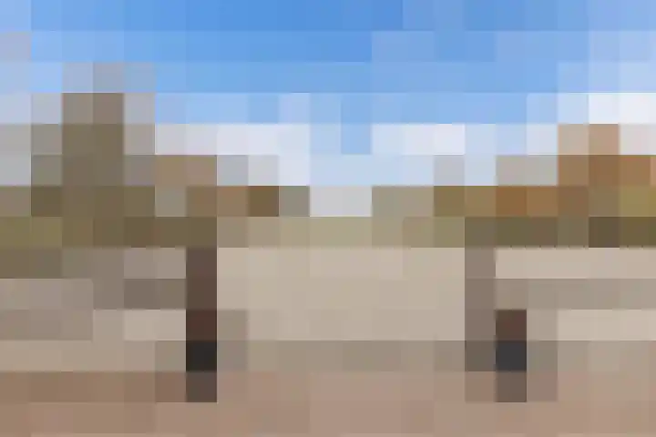 Tjalling Harkeswei 63 Hemrik thumbnail 48