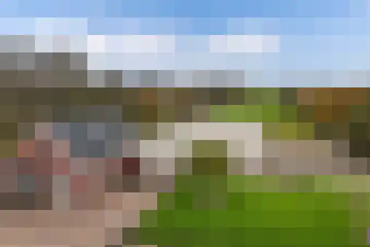 Tjalling Harkeswei 63 Hemrik thumbnail 5