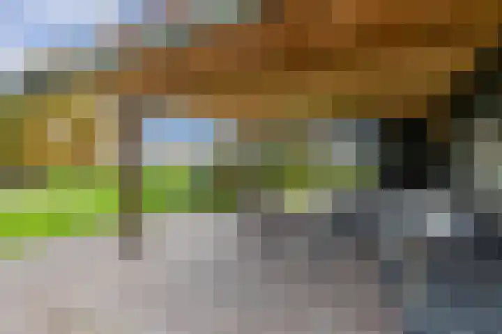 Tjalling Harkeswei 63 Hemrik thumbnail 50