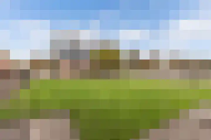 Tjalling Harkeswei 63 Hemrik thumbnail 51