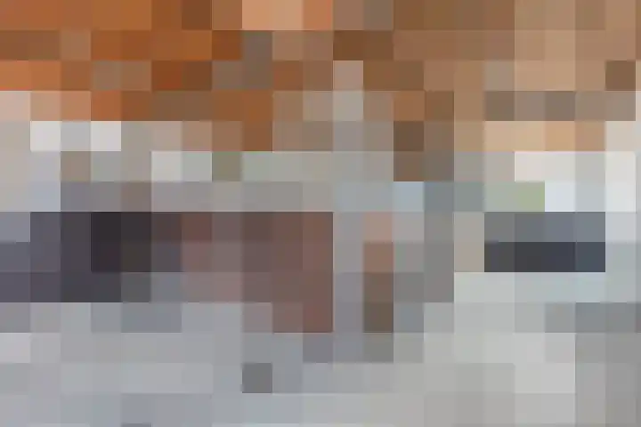 Tjalling Harkeswei 63 Hemrik thumbnail 52