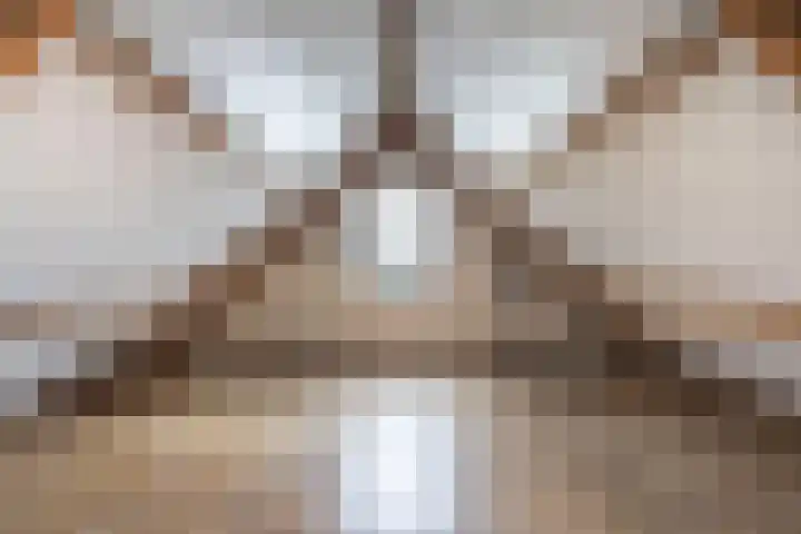 Tjalling Harkeswei 63 Hemrik thumbnail 56