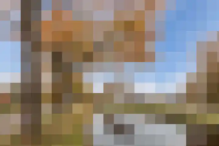 Tjalling Harkeswei 63 Hemrik thumbnail 57